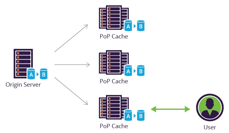 What is purge cache?