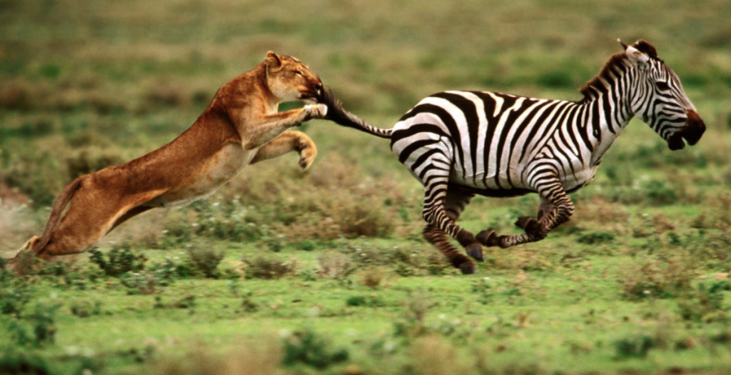 Essential Analytics Image 3