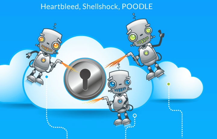 Understanding the Mega-Vulnerabilities