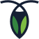 Cockroach 2