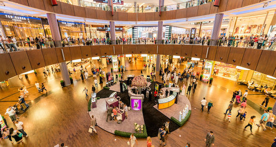 Data Privacy Perspectives