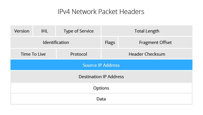 IPv4 network packet headers