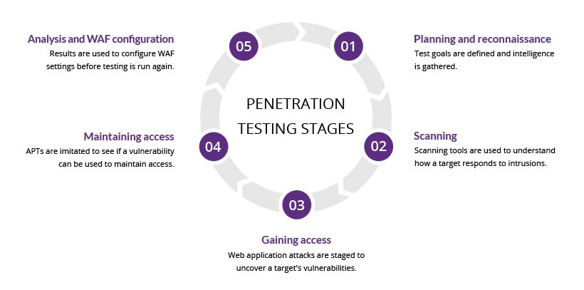 Pentest online discount