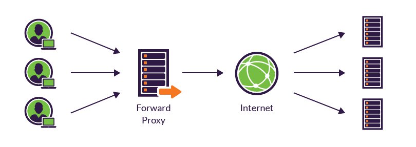 What is a Reverse Proxy Server, Proxy vs Reverse Proxy