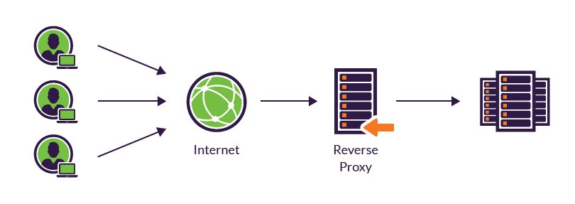 What is a Reverse Proxy Server | Reverse vs. Forward Proxy | CDN ...