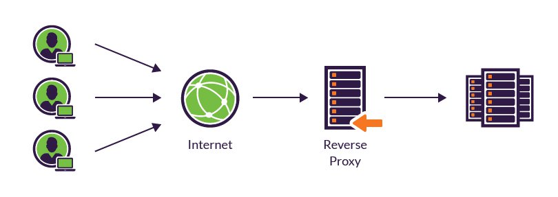 What Is a Proxy Server? How Does It Work?