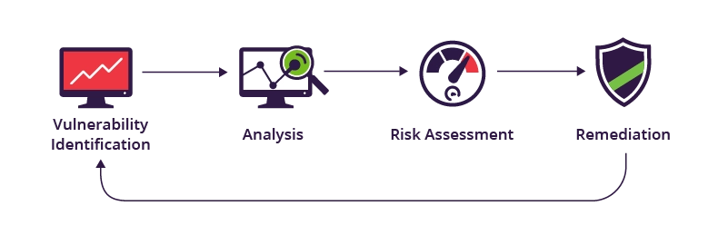 The vulnerability assessment process: analysis, risk assessment, remediation