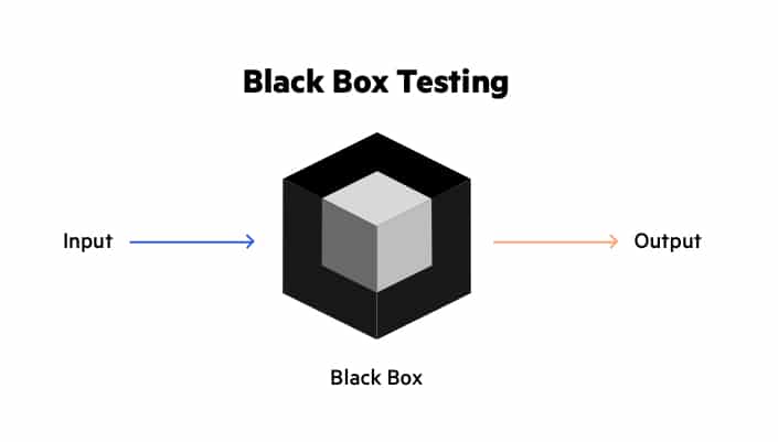 Black box testing