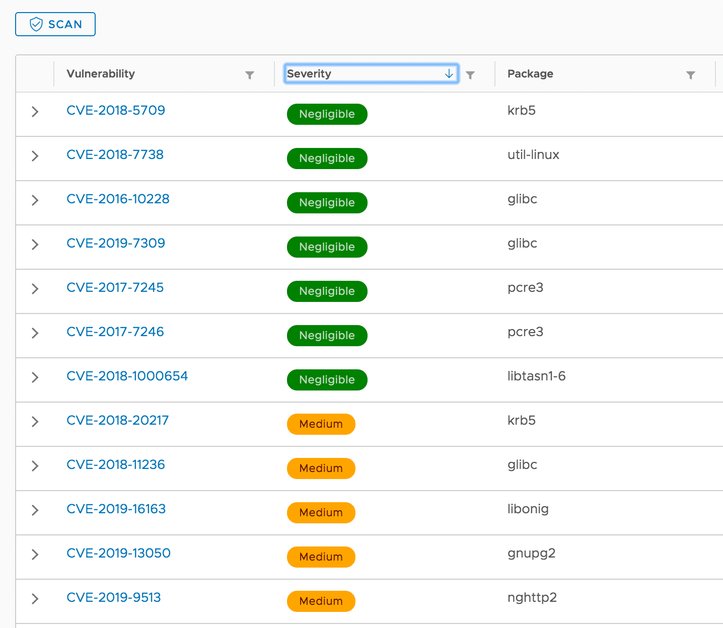 What is the score in CVE?