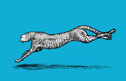 O'Reilly Full Stack Web Performance