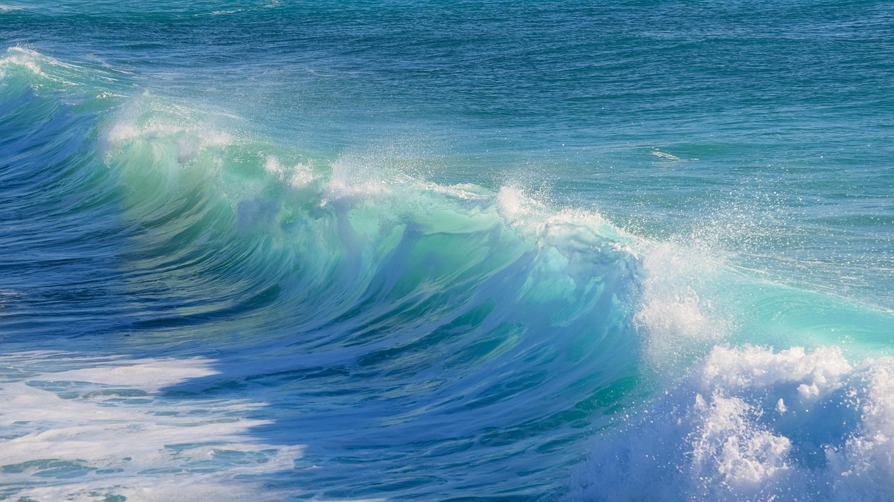 Wave Image