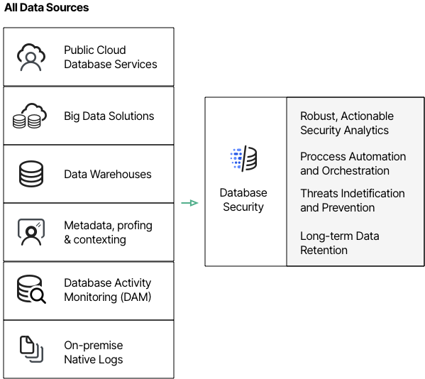 database risk management
