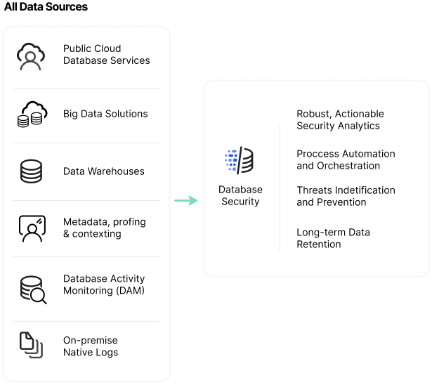 database risk management