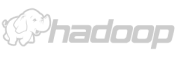 logo hadoop light