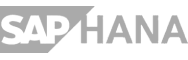 logo sap hana light