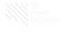 SA networks logo 1