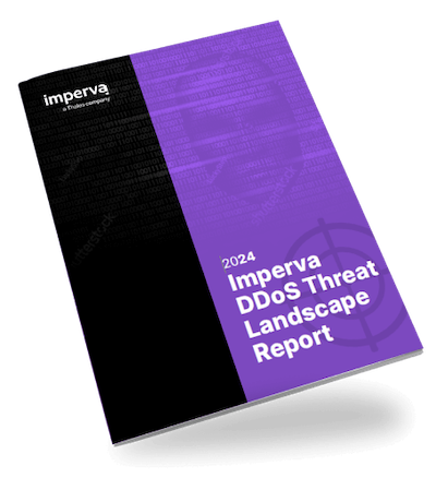 DDoS landscape report 400px