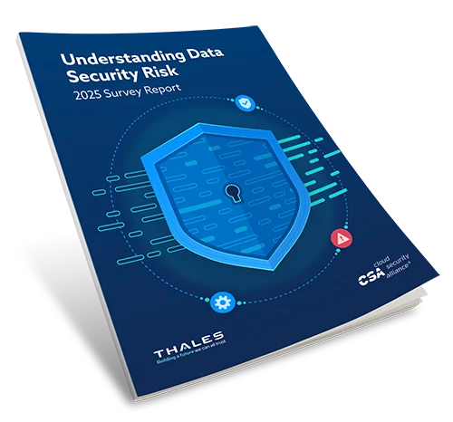 Understanding Data Security Risk Report Cover