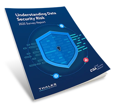 Understanding Data Security Risk Report Cover 2