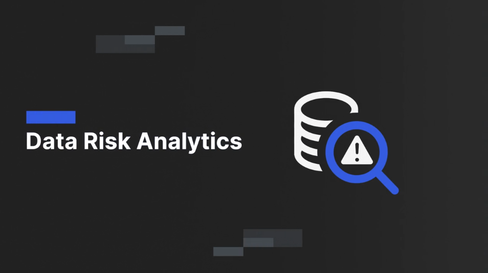 data risk analytics