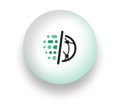 Cyber Security Leader Imperva Inc Cyber Security Leader Imperva Inc